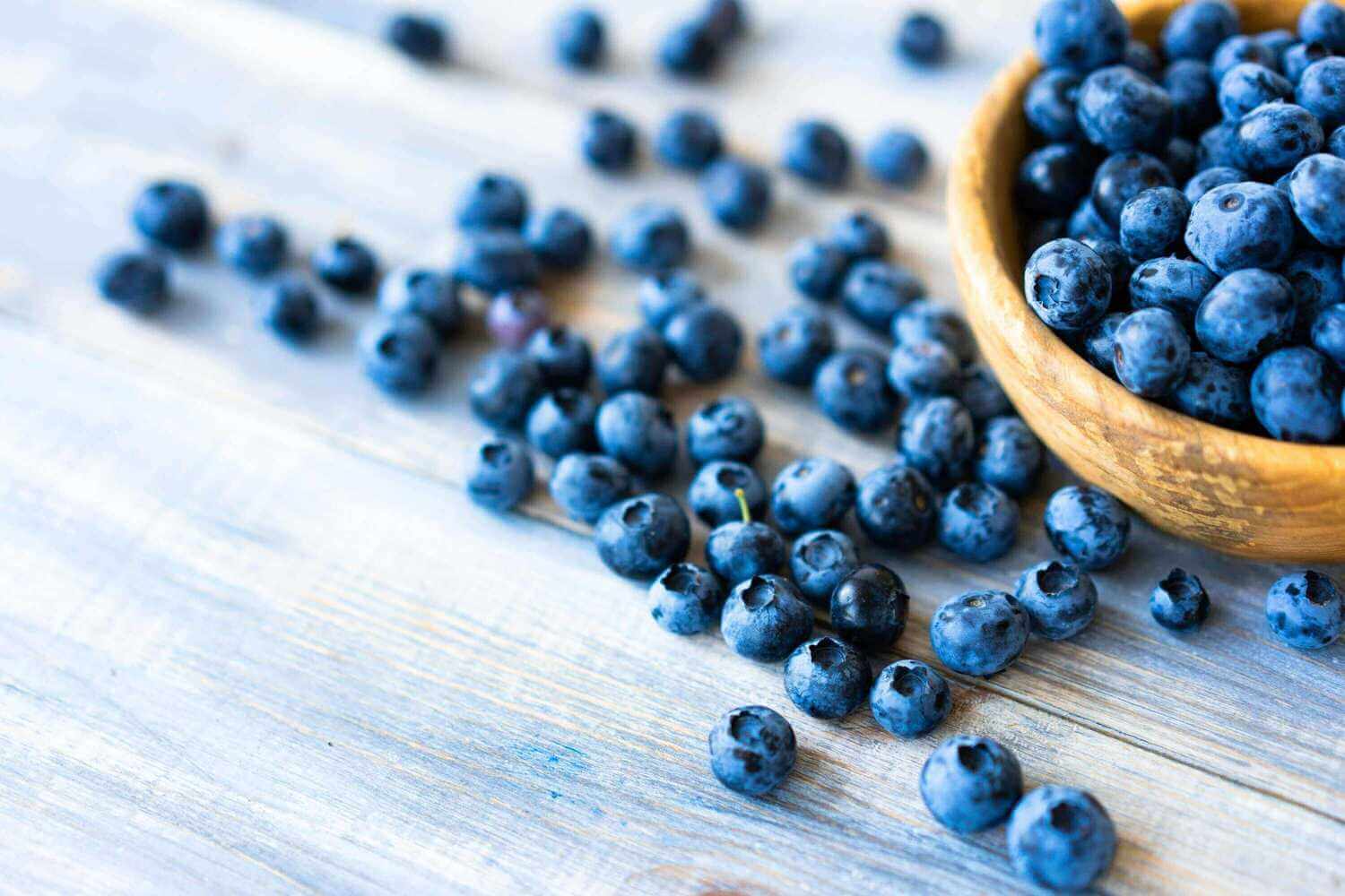 Fresh Blueberries